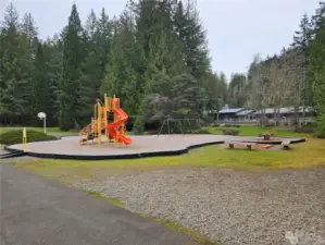 Park at Lake Kokanee