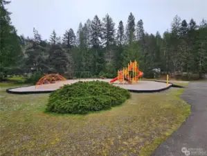 Park at Lake Kokanee