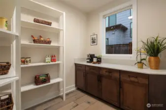 Huge walk-in pantry with plenty of built-in shelving