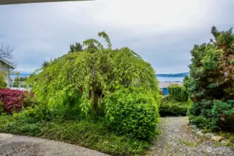 Back patio and landscaping in back yard - plus views.