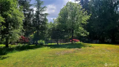 More of the rear yard.  Property is 2.63 acres and fenced.