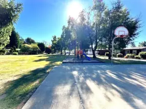 Basket Ball Court with large area to kick a ball or play Croquet