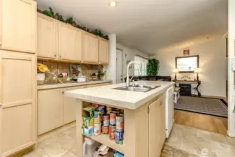 Chef's kitchen with additional storage