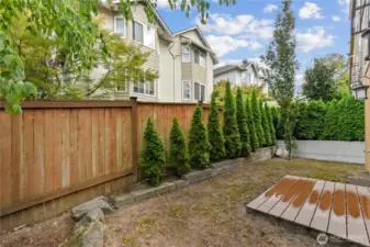 Backyard