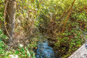 Creek View