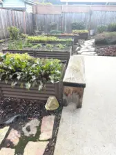 raised beds with lots of sunshine