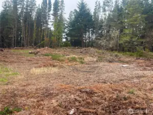 Property is cleared and exceptionally high and dry