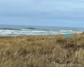 A lovely bench to view the ocean awaits!