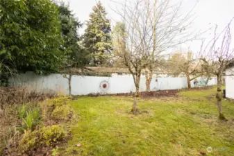 Fully Fenced Back Yard To Roam Freely