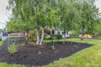 Spacious corner lot