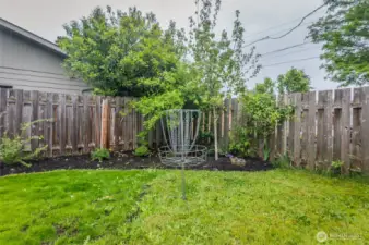 Fenced backyard with lots of room for kids or pets