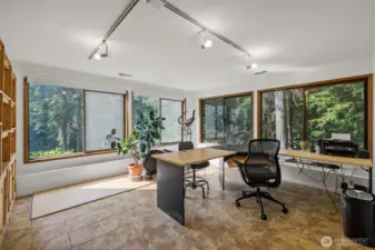 Downstairs flex room/office!