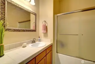 The guest bedroom includes tub and shower.