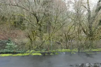 View from the patio.