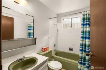 Lower level full bathroom.