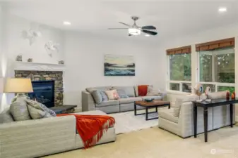 Enjoy the Gas fireplace and versatile layout of this expansive downstairs.