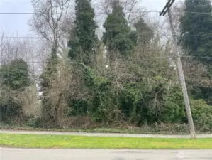 Lot for sale sits behind this lot