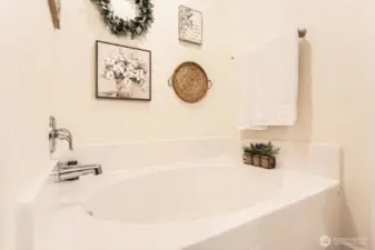 Owners Suite Soaking Tub
