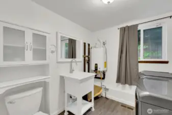 Laundry room and downstairs bathroom.