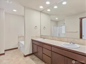 Primary en-suite bath boasts generous space, glowing natural light, and a complete 5-piece layout.