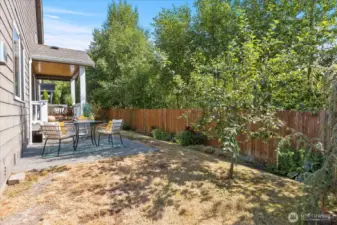 Beautifully maintained backyard with garden plots, fruit trees, and a peaceful setting for outdoor enjoyment