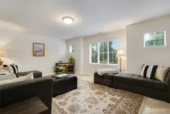 Large Bonus Room