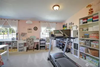 Another view of the guest bedroom/bonus room.