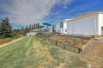 Backyard w/ garden space/planters.