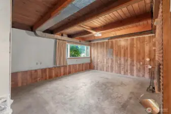 living area in lower level