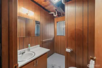 bathroom on lower level