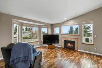 Cozy gas fireplace, easy care- laminate flooring throughout, and abundant windows that fill the home with natural light.