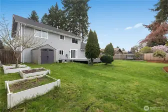 View of fully fenced back yard with garden beds, italian plum tree, garden shed and chicken coop or green house.