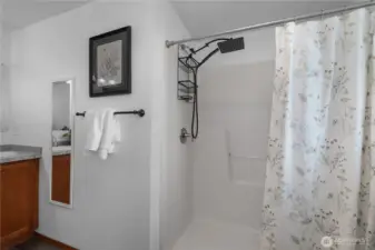 Shower with rain fall shower head.