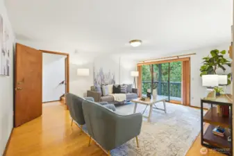 Downstairs Living Room