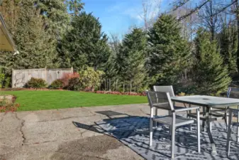 The large patio offers plenty of room for oversized gatherings.