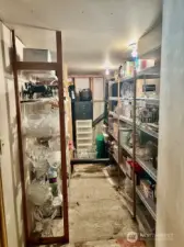 Unfinished basement - walk-in pantry