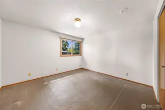 A second lower-level bedroom includes ample floor space, large windows, and a built-in closet—ideal for guests, hobbies, or home office use.