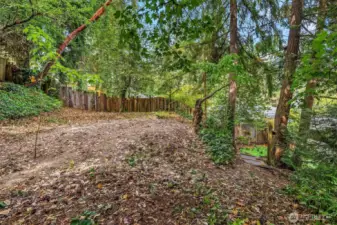 Additional Yard Space