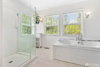 Whole other space in main floor bathroom w/relaxing spa tub, newer shower surround & tons of natural light