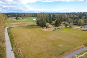 All that pastureland, what will you do with it?