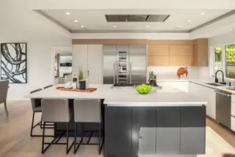 Sleek and modern, this amazing kitchen has tons of counter space and tons of storage.