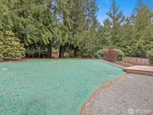 New grass