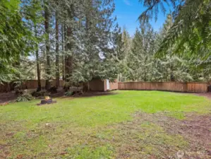 Fire pit and large backyard