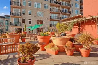 Roof Deck Garden Terrace! Nice seating  areas, barbecue grills, fire pit, herb garden  plus more!