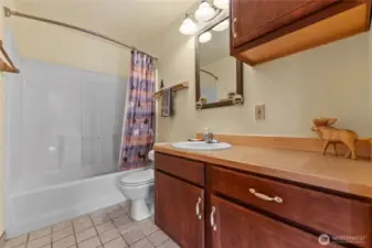 Downstairs bathroom
