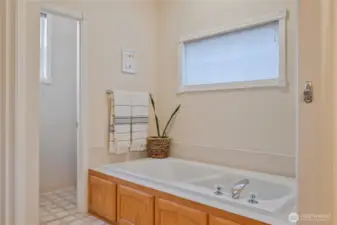Jetted tub