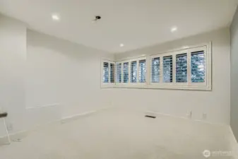 Downstairs Bedroom #1