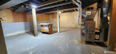 Basement & High Efficiency Natural Gas Furnace