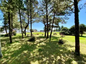 Gunderson park with picnic table, horseshoe pits, and open space.