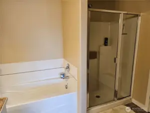 Soaking tub and shower